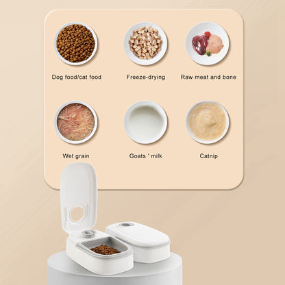 Smart Automatic Pet Feeder with Timer – Stainless Steel Food Dispenser for Dogs & Cats