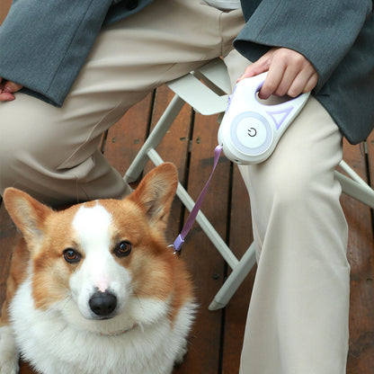 Retractable Dog Leash with Spotlight & Collar – For Small & Medium Dogs