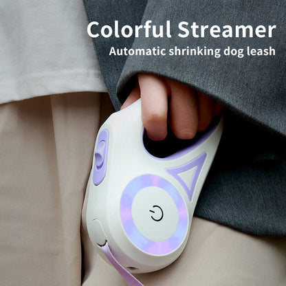 Retractable Dog Leash with Spotlight & Collar – For Small & Medium Dogs